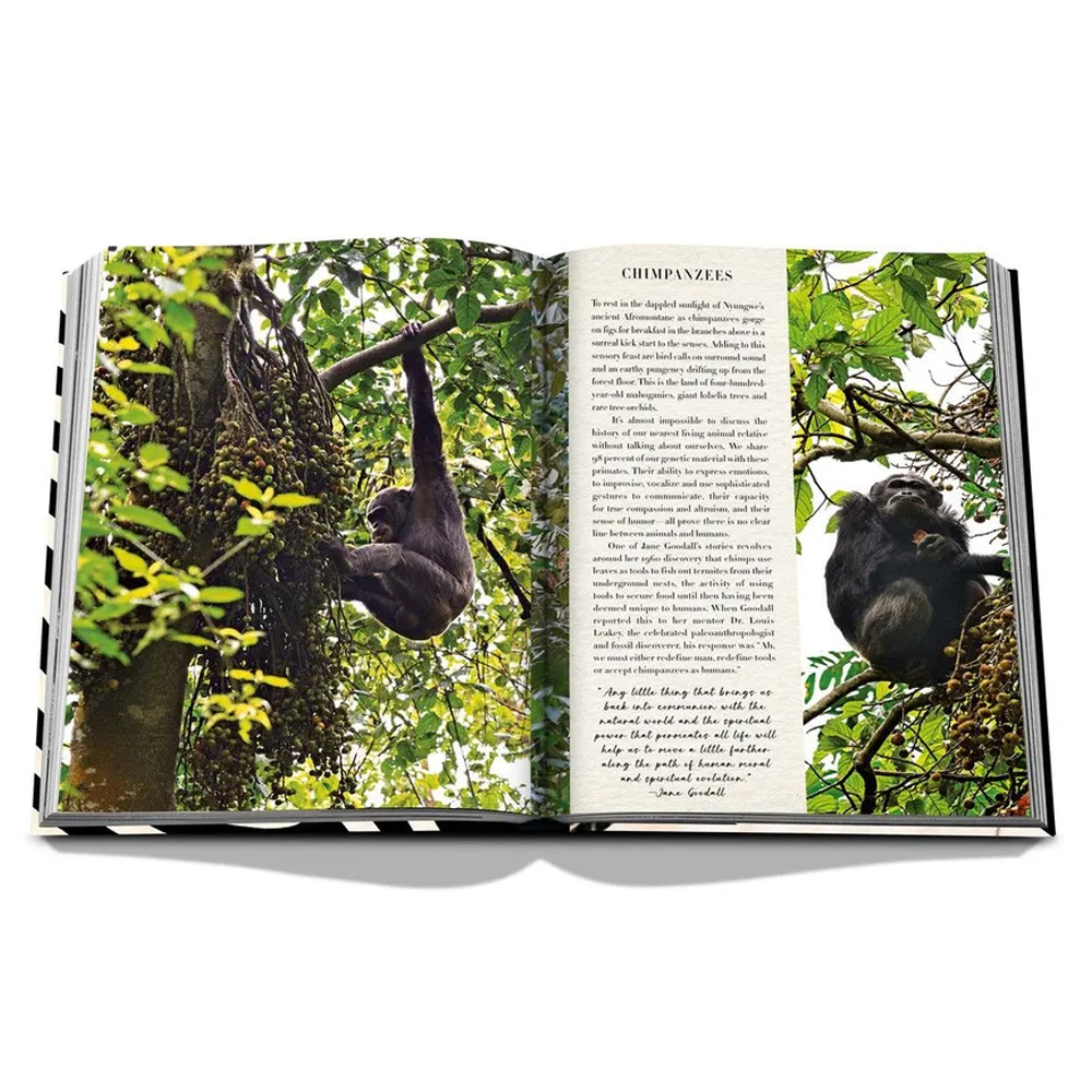 Подарочнный коллекционный фото альбом AFRICAN ADVENTURES NEW 2023 ASSOULINE HC UNBELIEVABLE ILLUSTRATIONS Safari