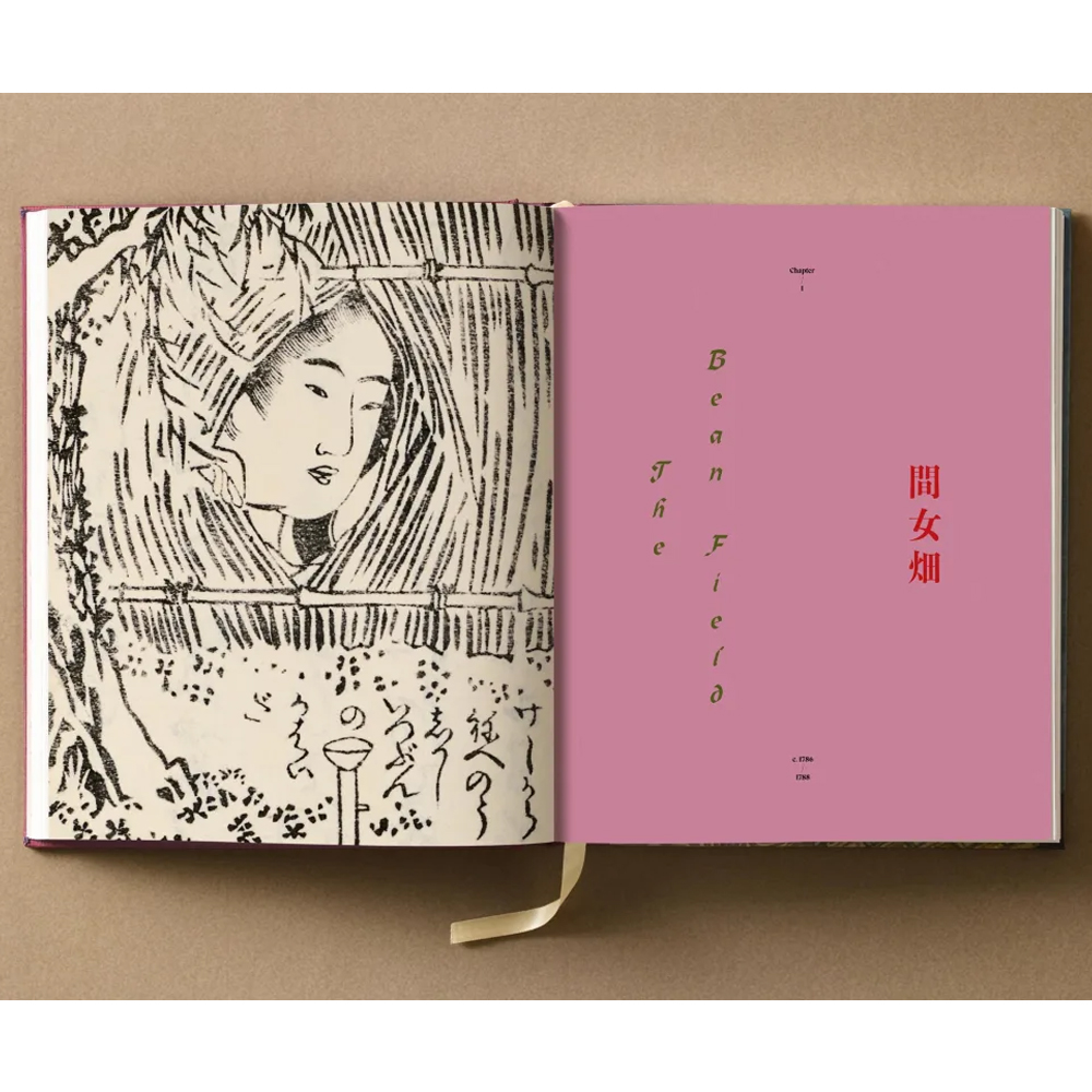Подарочное издание Эротические гравюры Hokusai Shunga taschen