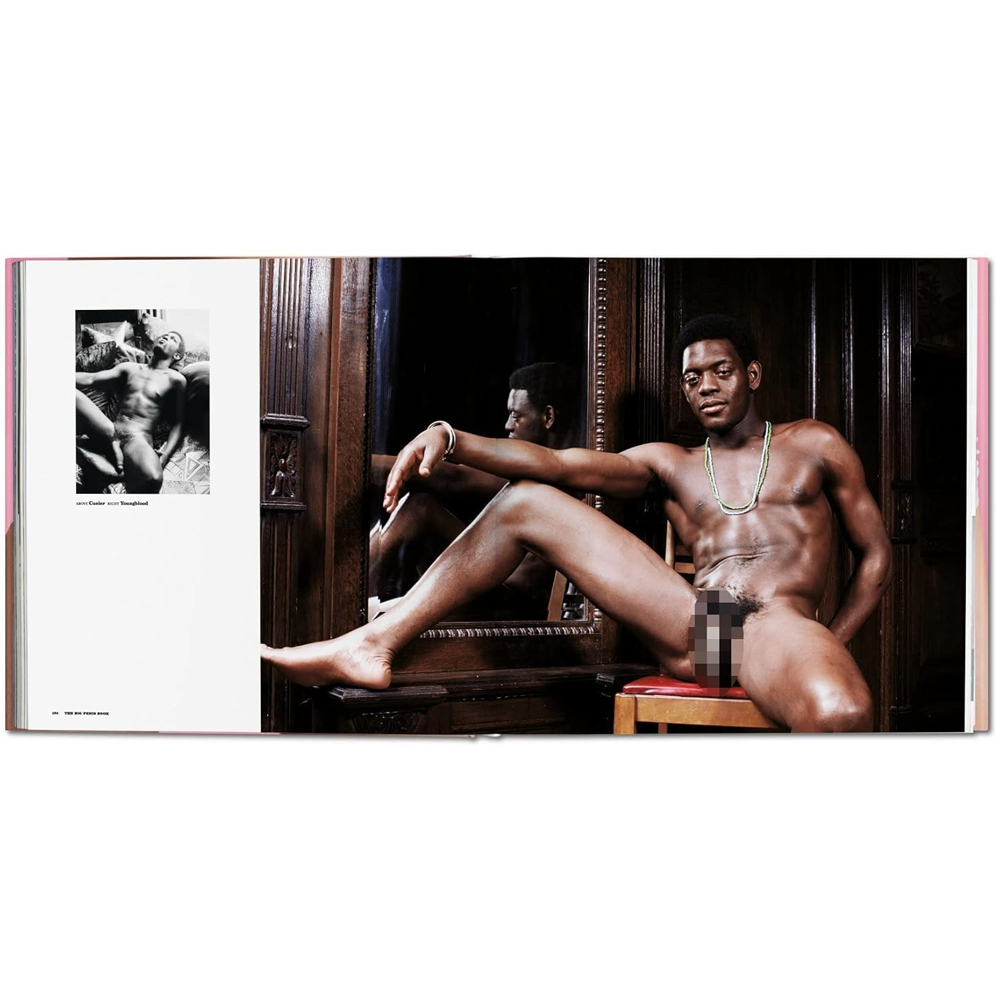 Подарочный Альбом Фото ню The Big Penis Book 18+