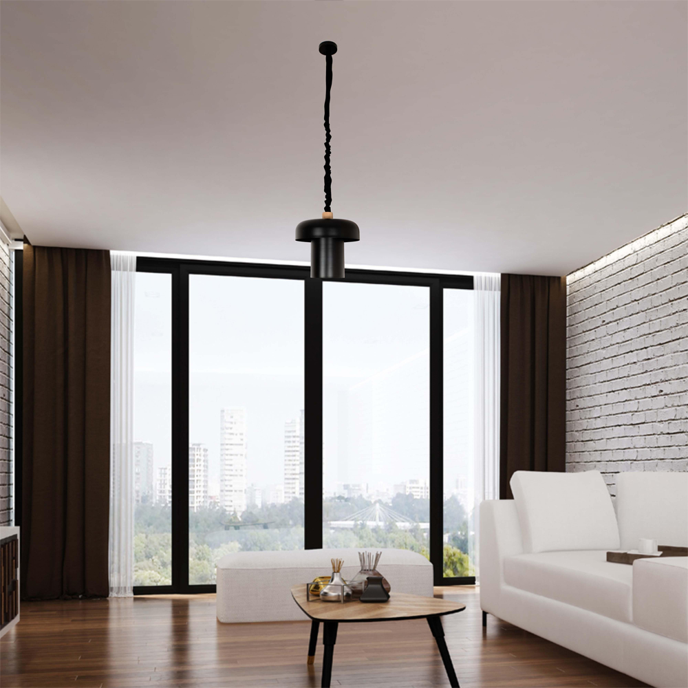 Подвесной светильник с черным металлическим плафоном Capability