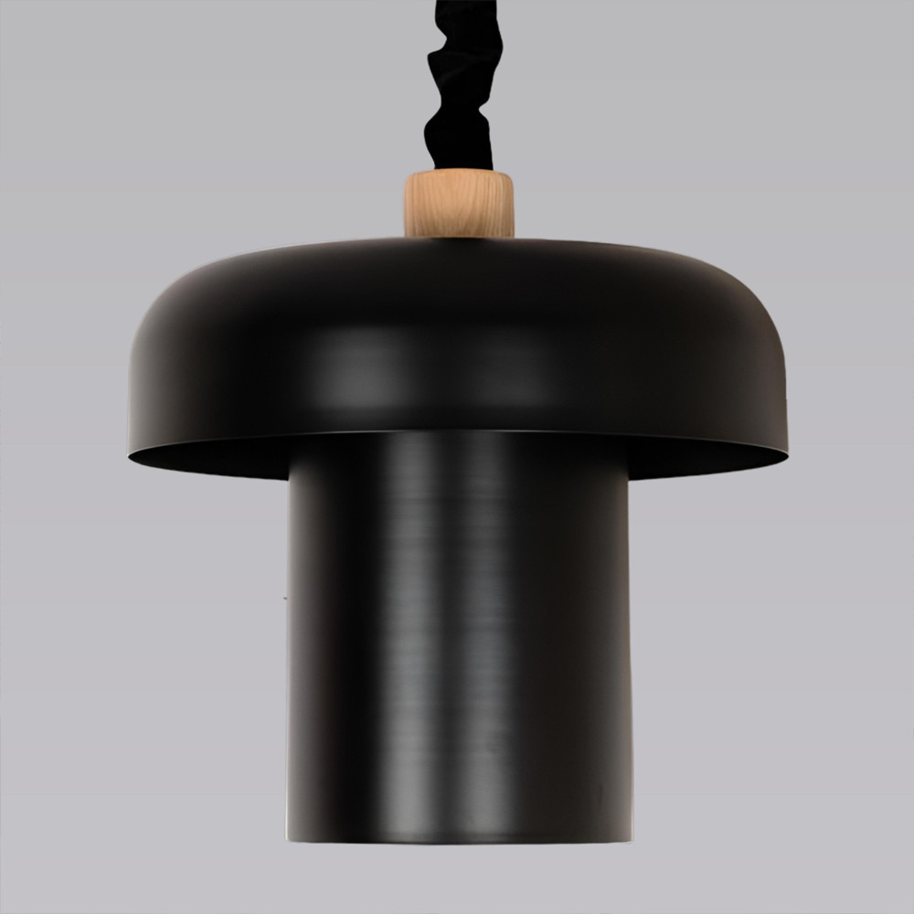 Подвесной светильник с черным металлическим плафоном Capability