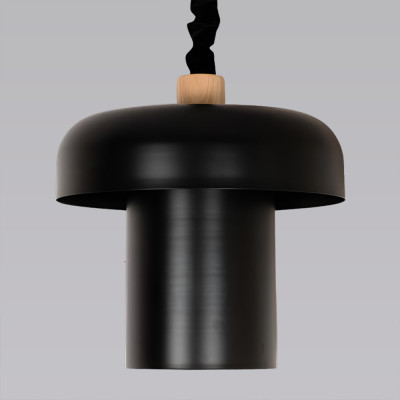 Подвесной светильник с черным металлическим плафоном Capability