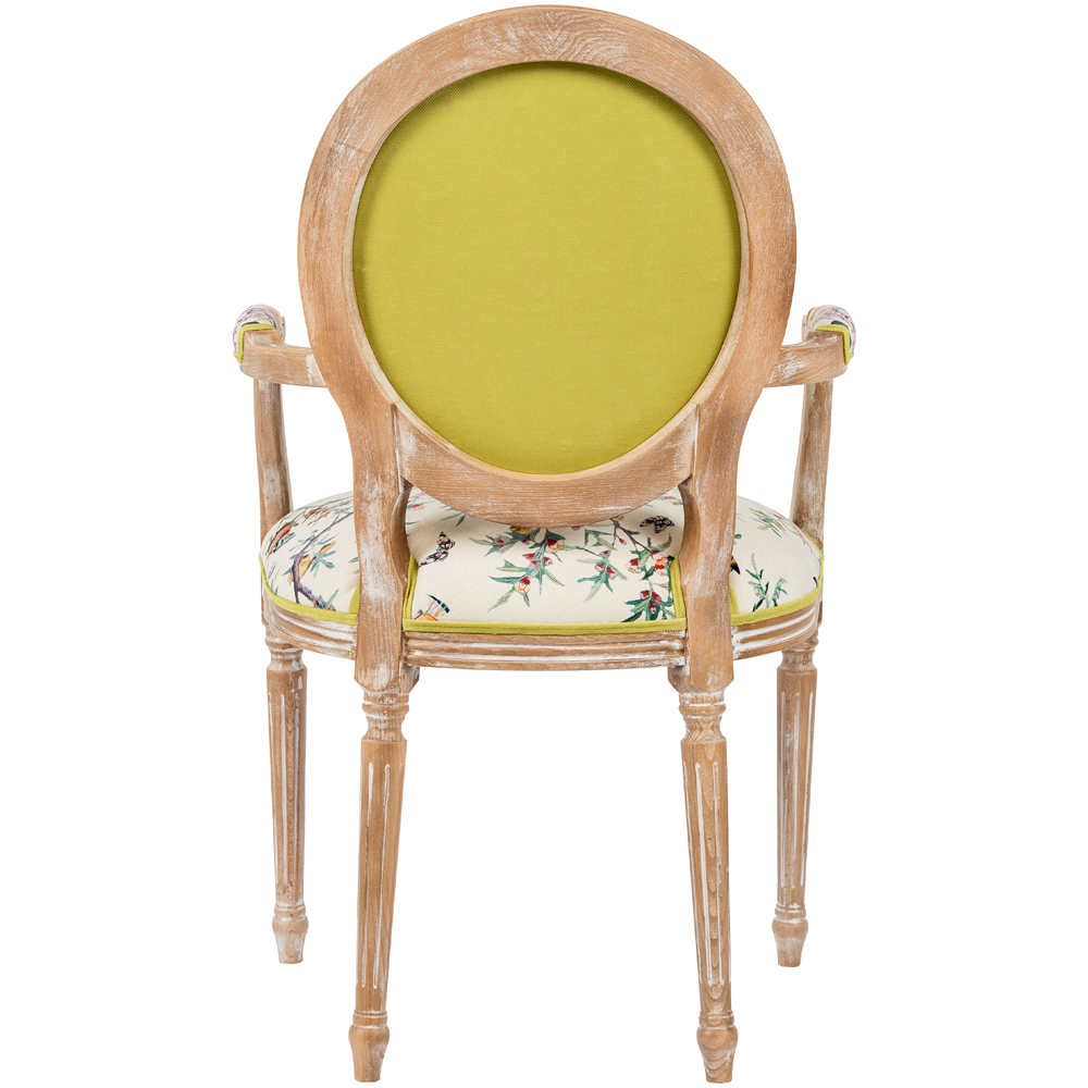 Полукресло из массива бука бежевое с изображением птиц и цветов Beige Green Chinoiserie Garden Chair