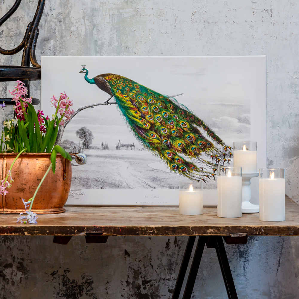 Постер на холсте с изображением павлина на ветке Majestic Peacock on a Tree Poster