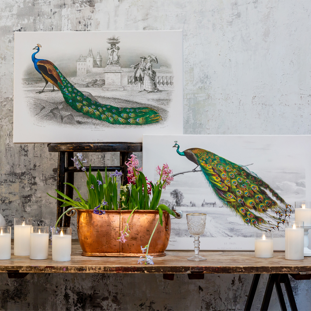 Постер на холсте с изображением павлина на ветке Majestic Peacock on a Tree Poster