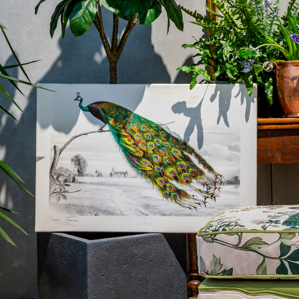 Постер на холсте с изображением павлина на ветке Majestic Peacock on a Tree Poster