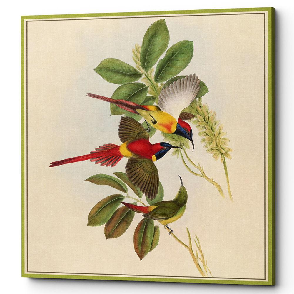 Постер на холсте с изображением птиц и цветов Blooming Birds Poster