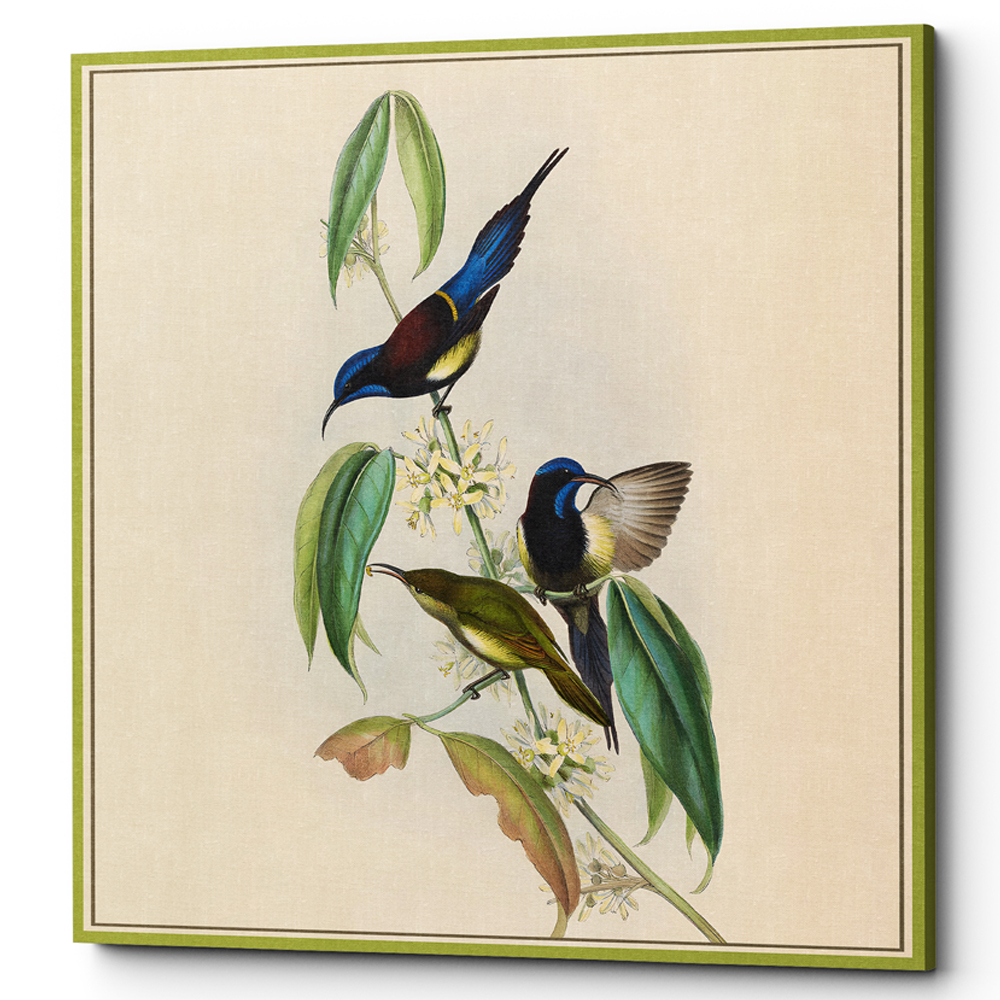 Постер на холсте с изображением птиц и цветов Blooming Birds Poster