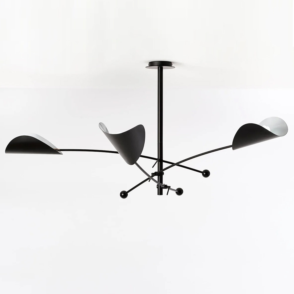 Потолочный светильник с подвижными плафонами Aracea Black Ceiling Lamp