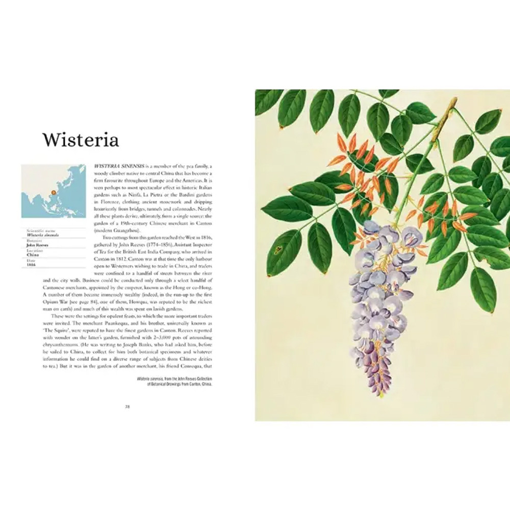 Прекрасно иллюстрированная книга более 100 ботанических произведений Plant Hunters Atlas