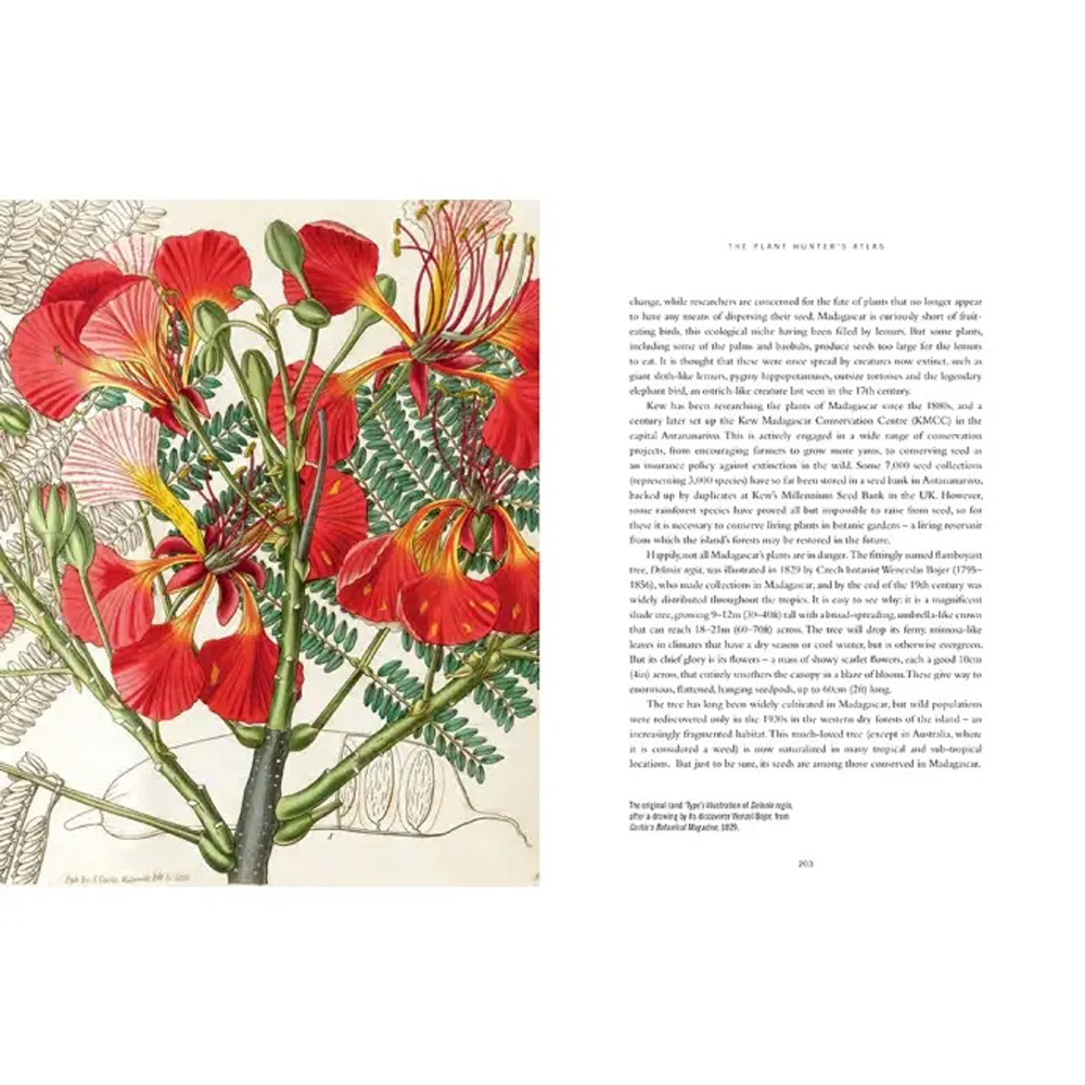 Прекрасно иллюстрированная книга более 100 ботанических произведений Plant Hunters Atlas