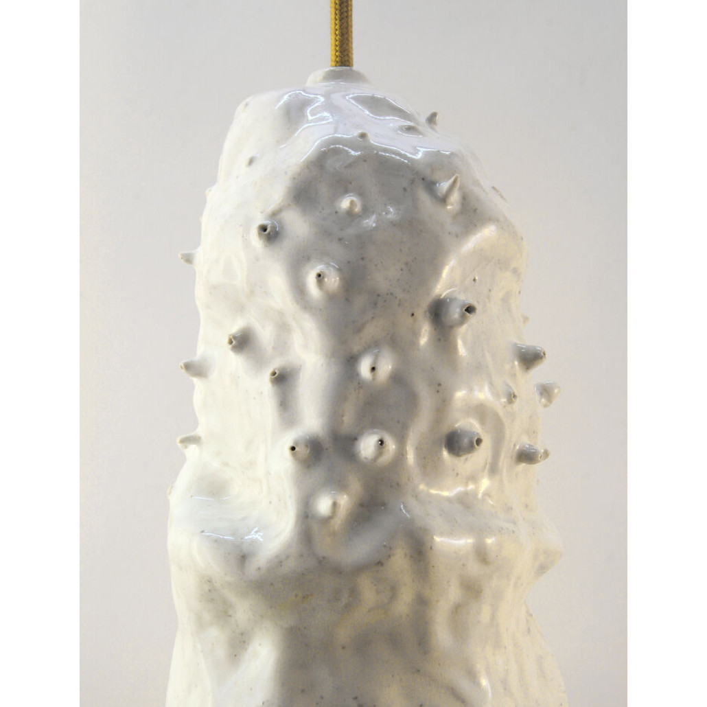 Светильник Astrophytum asterias