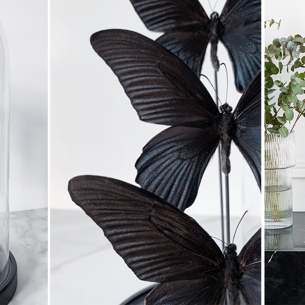 Статуэтка 3 Butterflies Papilio Memnon Glass Cloche