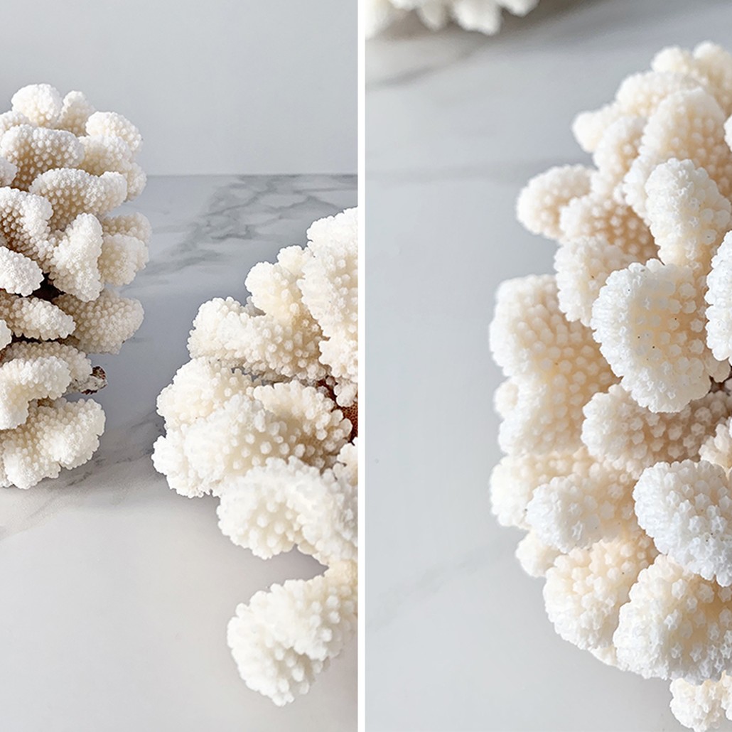 Статуэтка Brownstem Coral