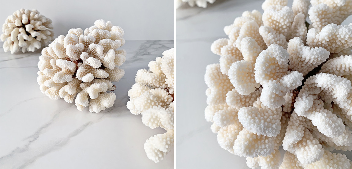 Статуэтка Brownstem Coral