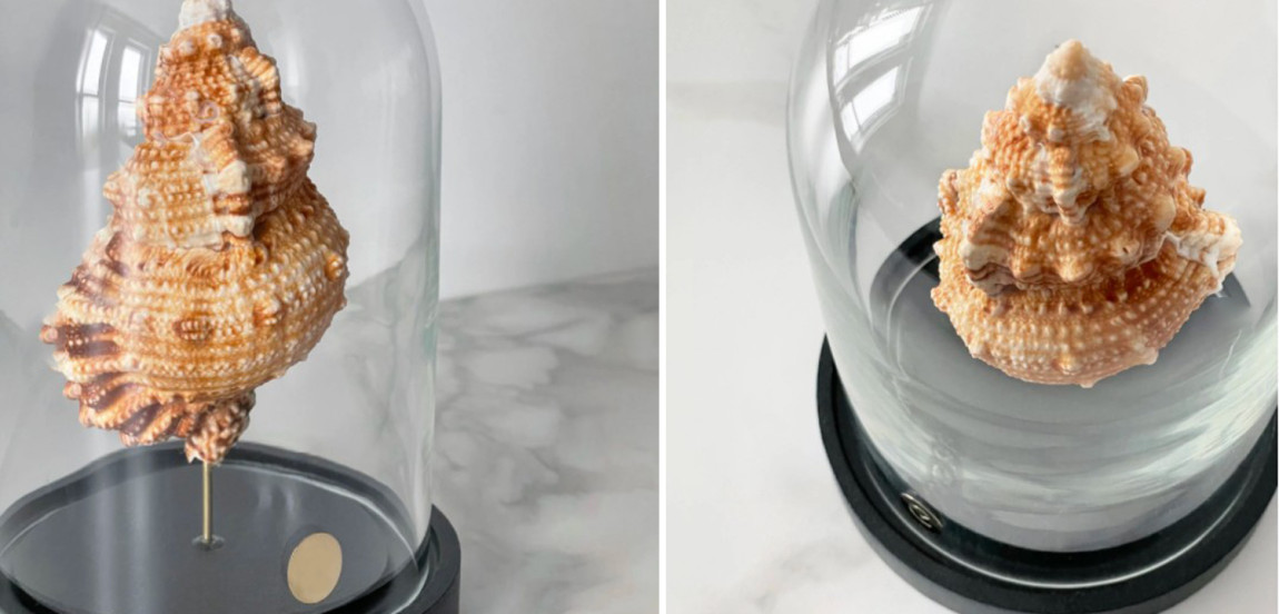 Статуэтка Bursa Rubeta Glass Cloche