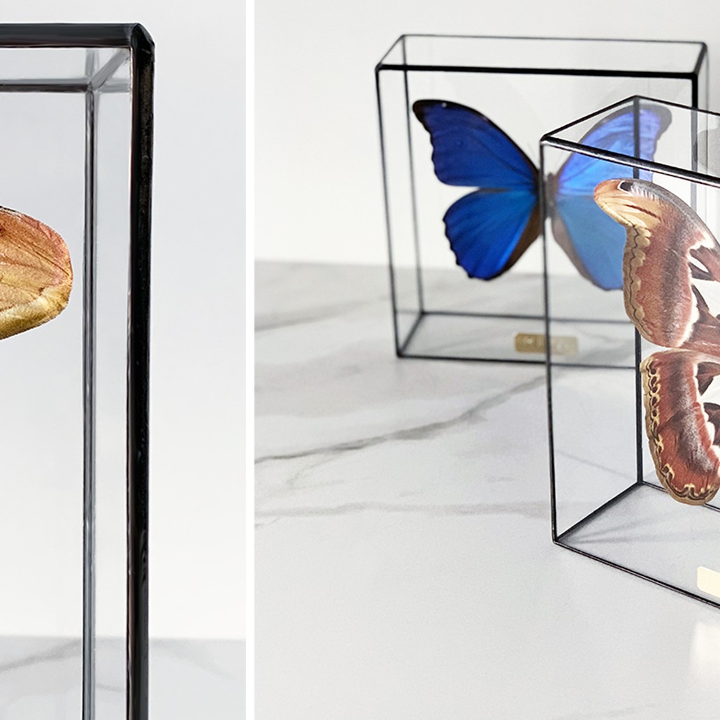 Статуэтка Butterfly Atlas Glass Box