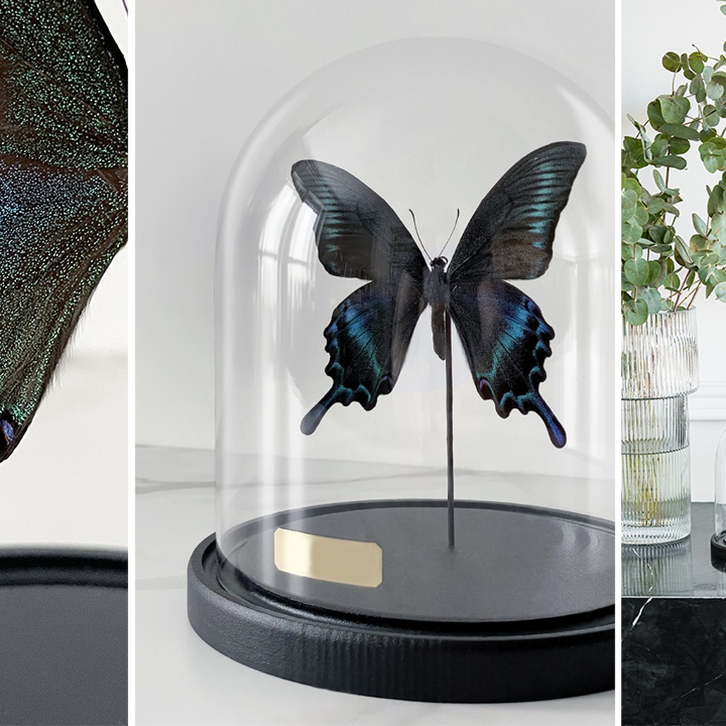 Статуэтка Butterfly Sailboat Maaka Glass Cloche