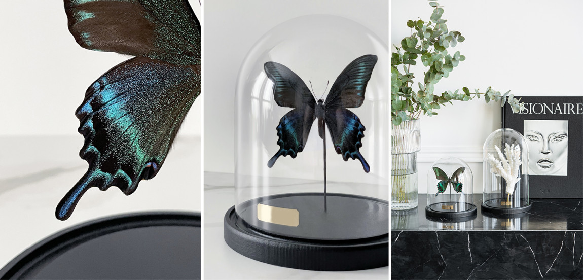 Статуэтка Butterfly Sailboat Maaka Glass Cloche