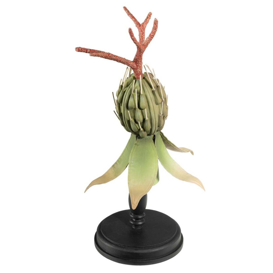 Статуэтка Castor Oil