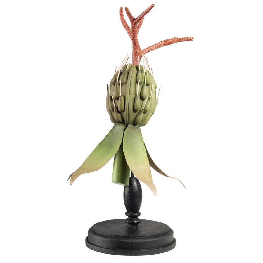 Статуэтка Castor Oil