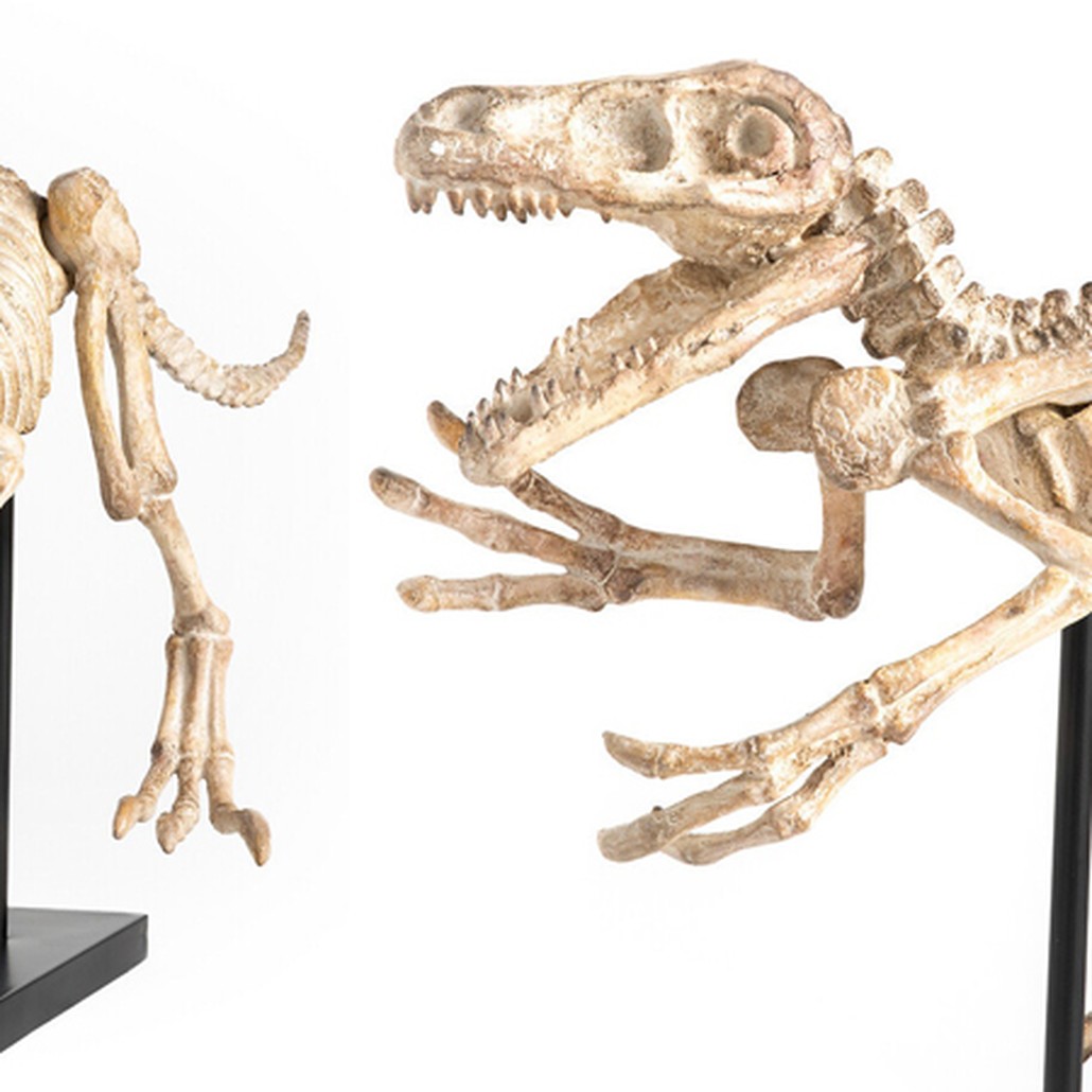 Статуэтка Dinosaur Skeleton big