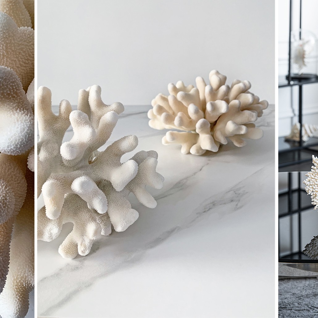 Статуэтка Elkhorn Coral