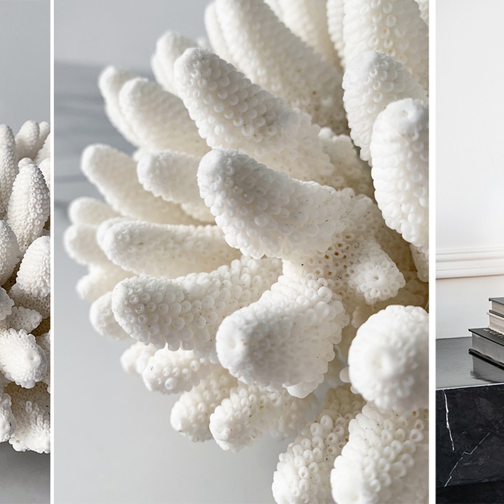 Статуэтка Finger Coral