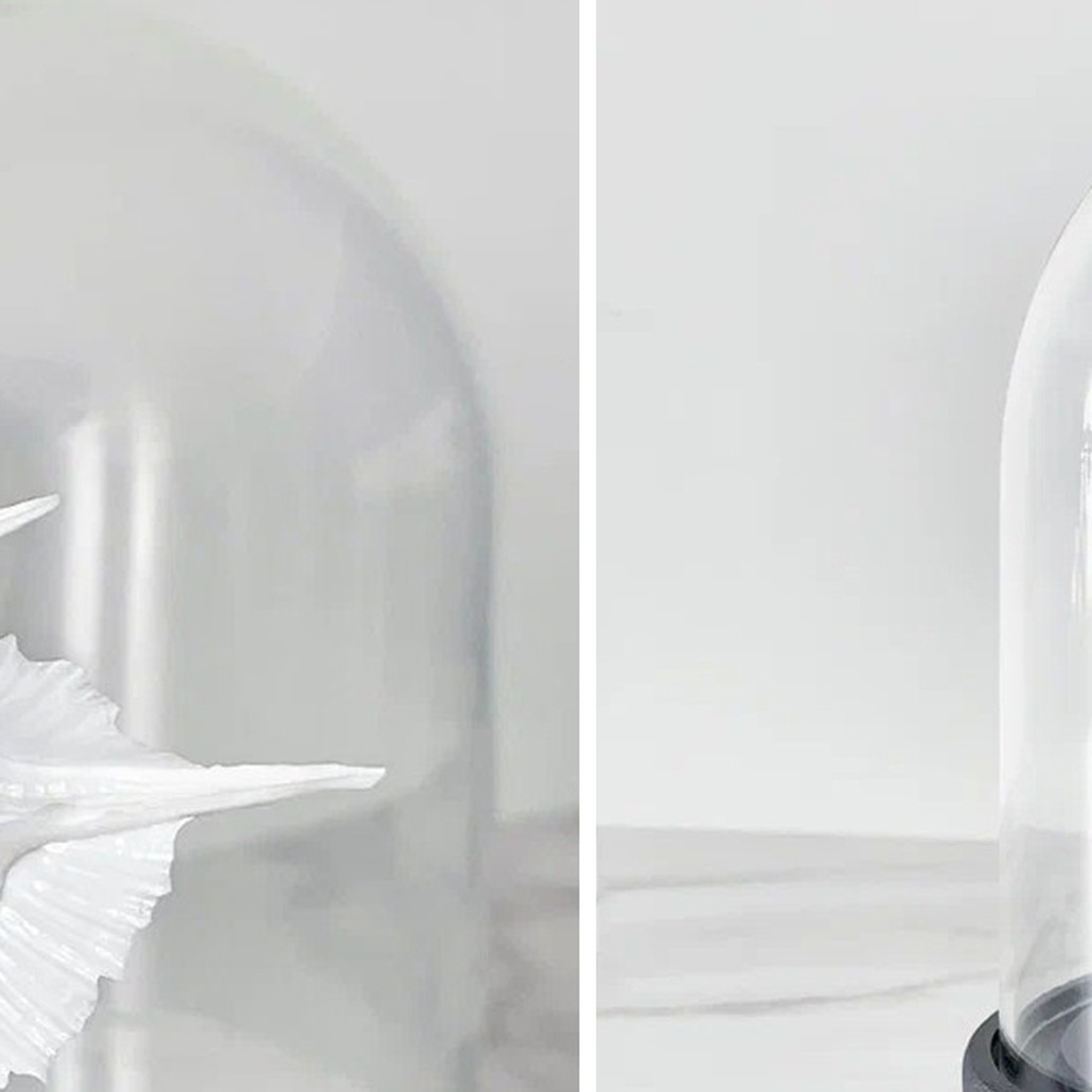 Статуэтка Murex Alabaster Glass Cloche