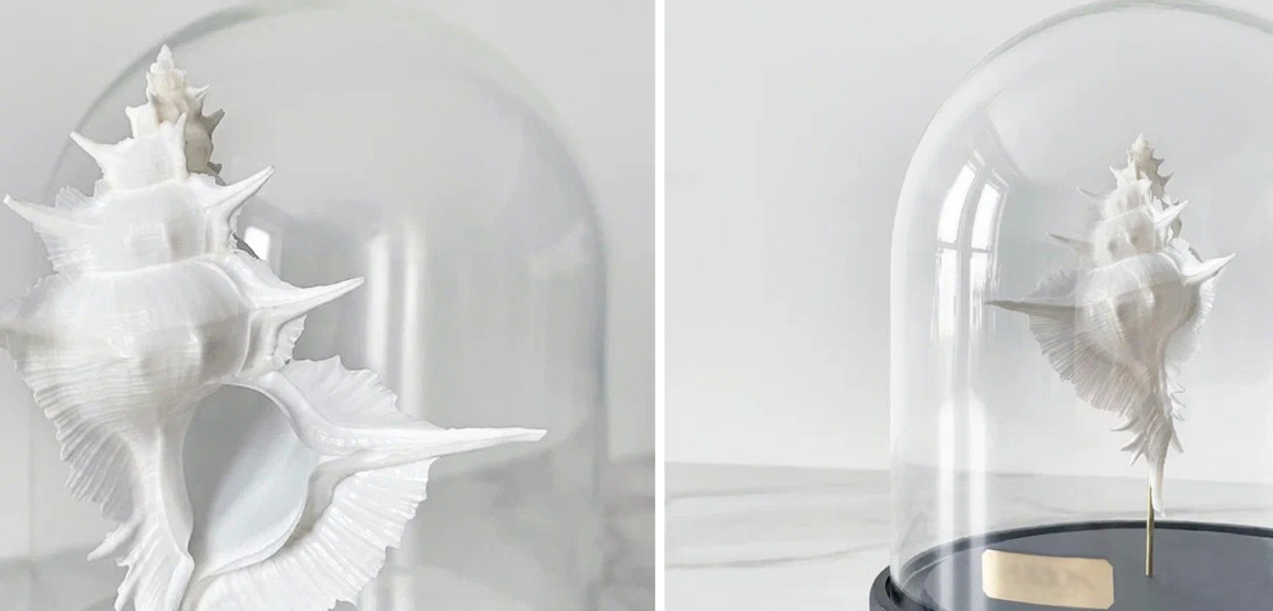 Статуэтка Murex Alabaster Glass Cloche