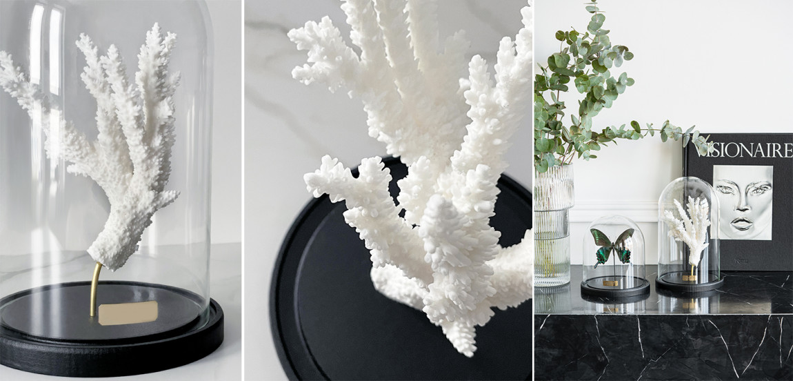 Статуэтка Natural Coral Branch Glass Cloche