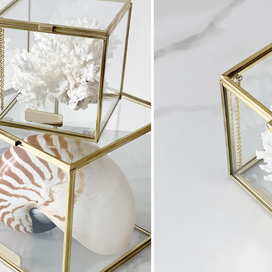 Статуэтка Natural Coral Glass Box S