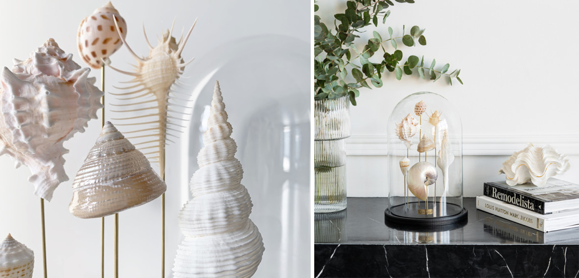 Статуэтка Shell Collection Glass Cloche 1