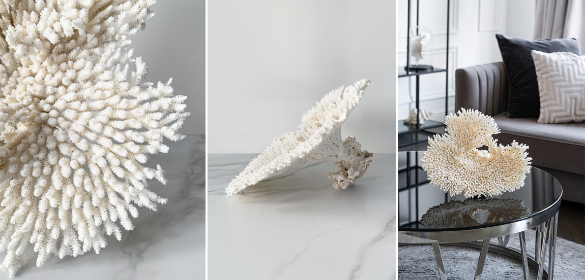 Статуэтка Table Coral