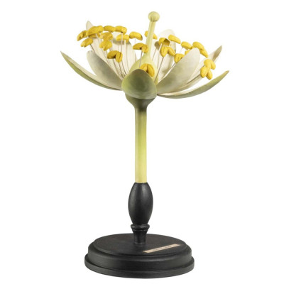 Статуэтка Tilia