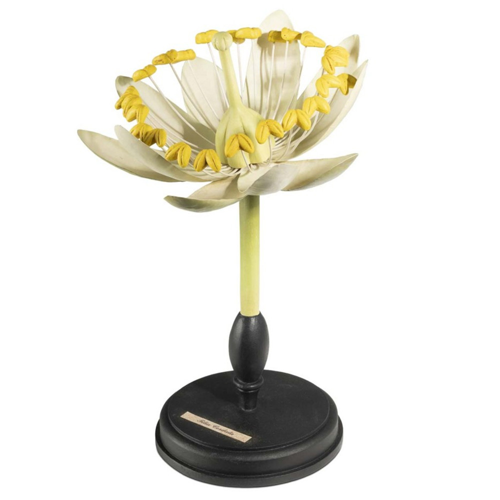 Статуэтка Tilia