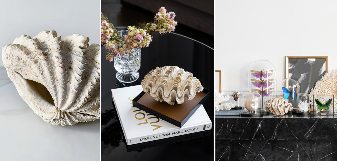 Статуэтка Tridacna Maxima Shell