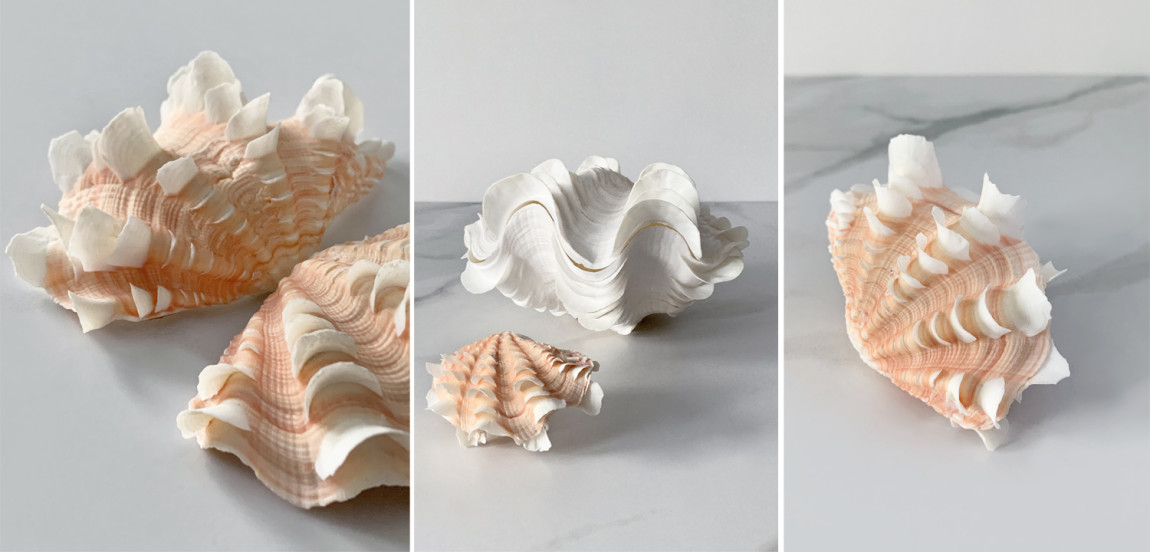 Статуэтка Tridacna Shell XS