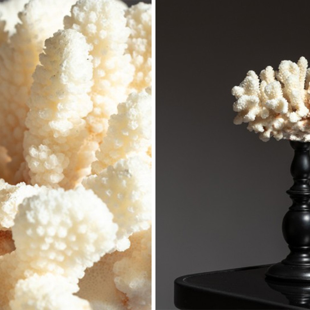 Статуэтка White Coral Decor