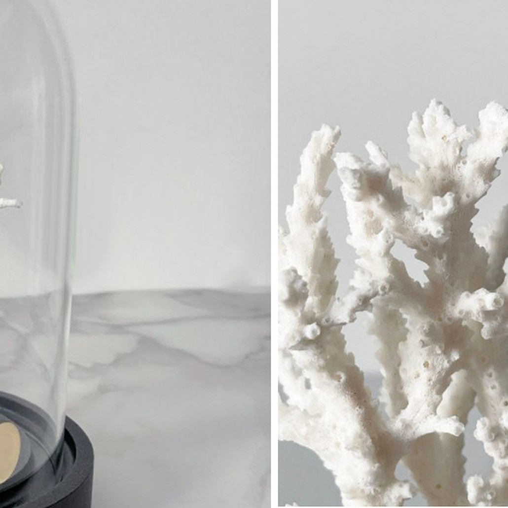 Статуэтка White Coral Glass Cloche
