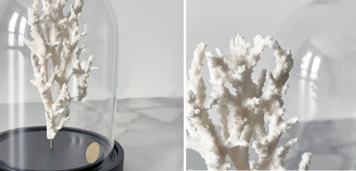 Статуэтка White Coral Glass Cloche