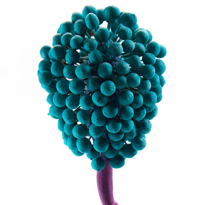 Статуэтка для интерьера фрукт Pandora Tropical Fruit 22