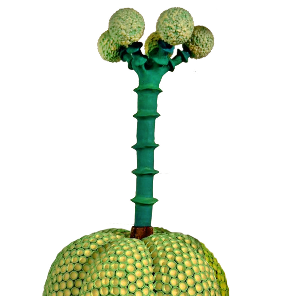 Статуэтка Зеленый тропический фрукт Pandora Tropical Light Green 69