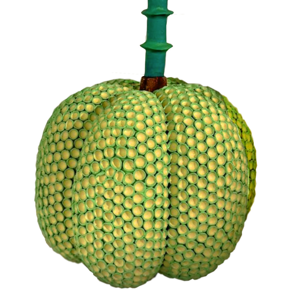 Статуэтка Зеленый тропический фрукт Pandora Tropical Light Green 69