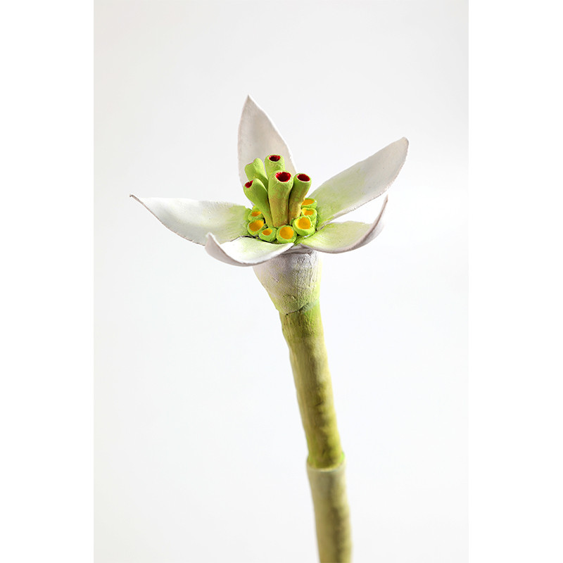 Статуэтка тропический фрукт Pandora Tropical Fruit Orange Two Flowers