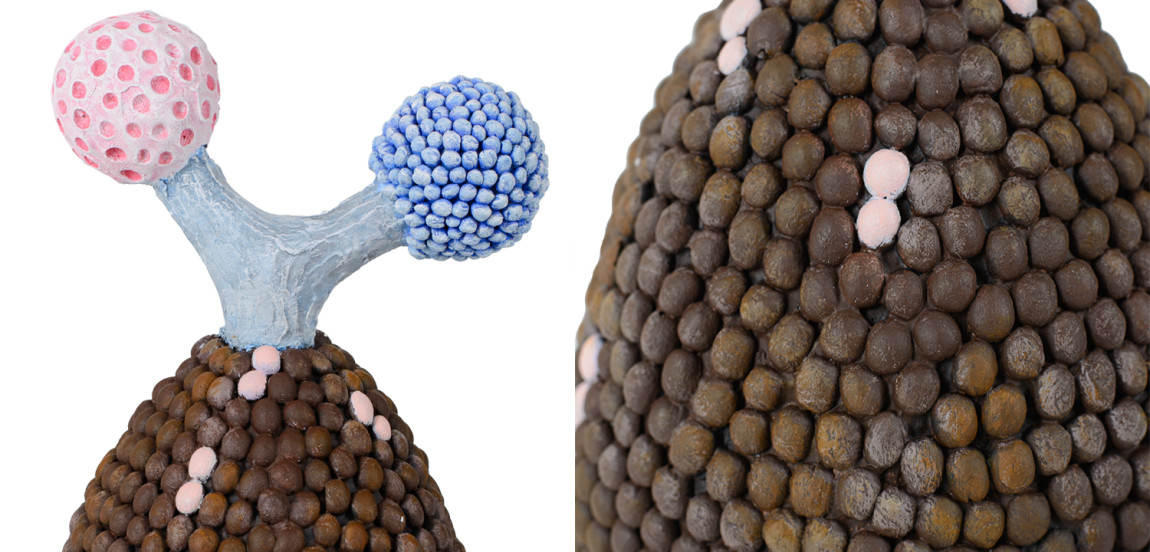 Статуэтка тропический фрукт Tropical Fruit brown