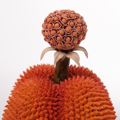 Статуэтка тропический фрукт Tropical Fruit Orange Prickly Berry