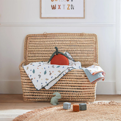 Сундук из плетеных листьев пальмы Eira Wicker Chest