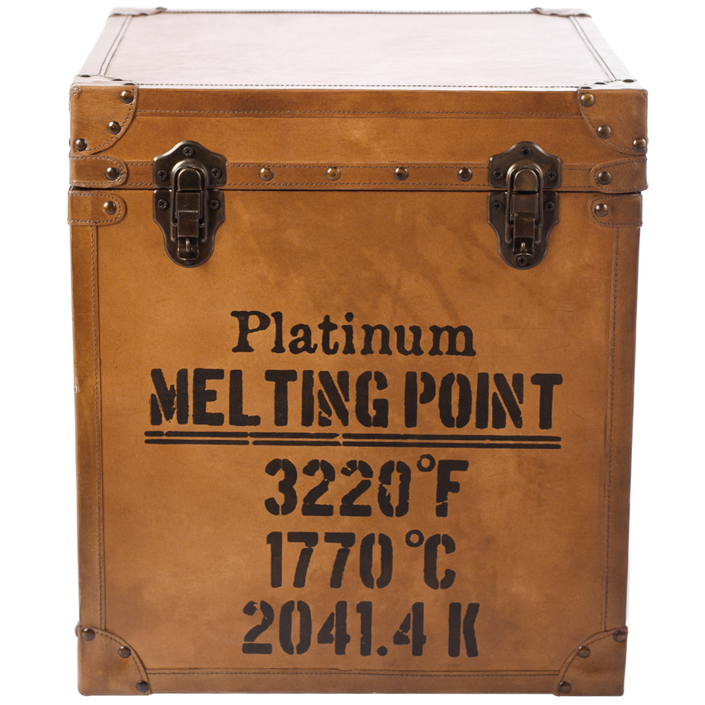 Сундук кожаный в винтажном стиле Brown Leather Chest