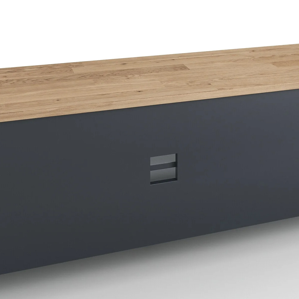 ТВ-тумба из металла и столешницей из массива дуба Metal Wood TV-Stand